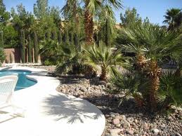 custom pools and spas by greencare.net